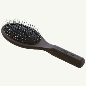 Oval hairbrush on white background